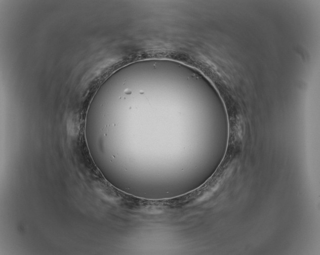 X0000113351157200910061013