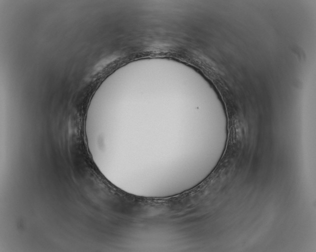 X0000113351158200910061013