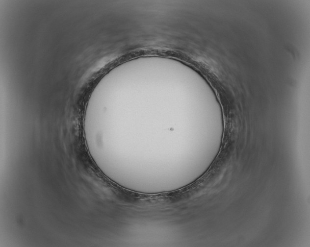 X0000113351159200910061013