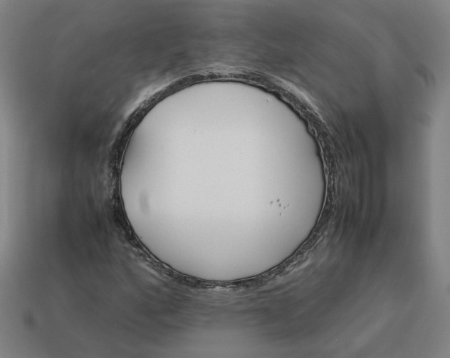 X0000113351160200910061013