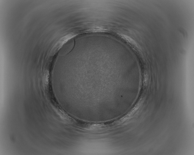 X0000113351161200910061013