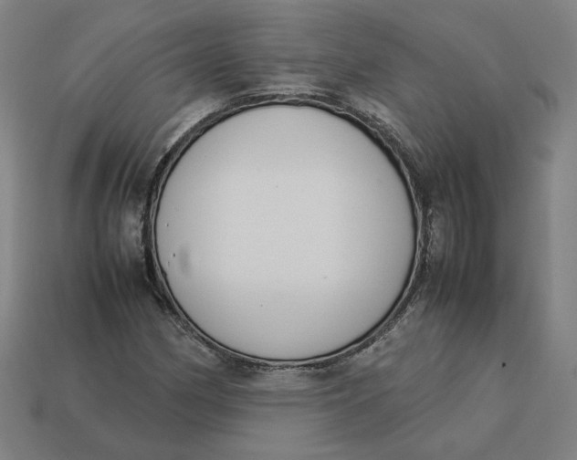 X0000113351162200910061013