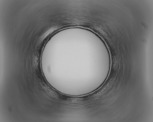 X0000113351163200910061013