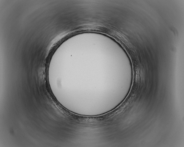 X0000113351164200910061013