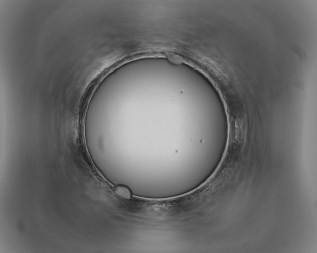 X0000113351165200910061013