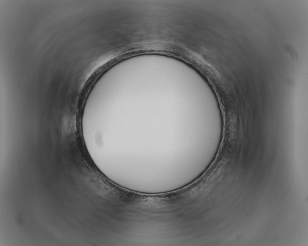 X0000113351166200910061013