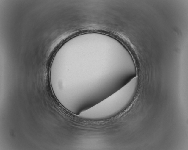 X0000113351167200910061013