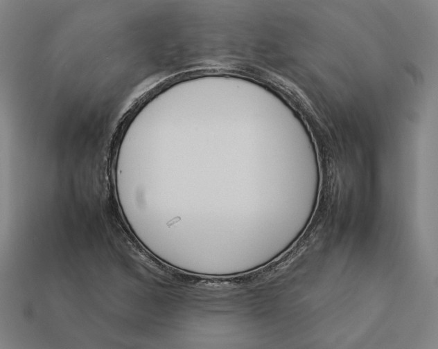 X0000113351168200910061012