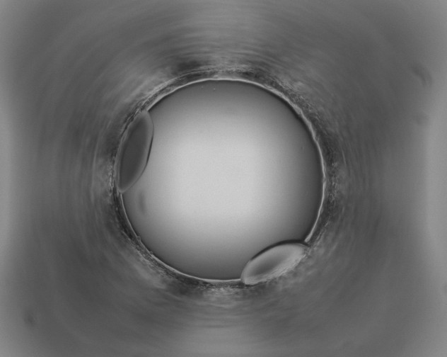 X0000113351169200910061012