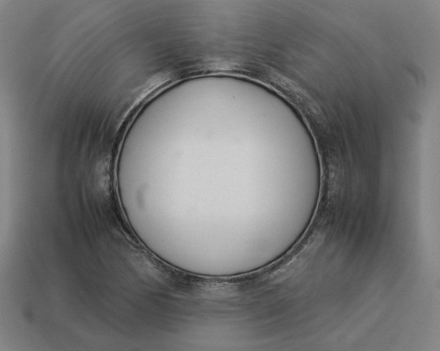 X0000113351170200910061012