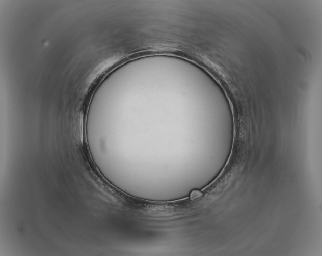 X0000113351171200910061012