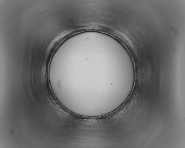 X0000113351172200910061012