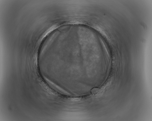 X0000113351173200910061012