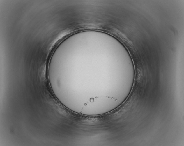 X0000113351174200910061012