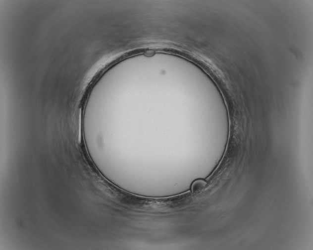 X0000113351175200910061012