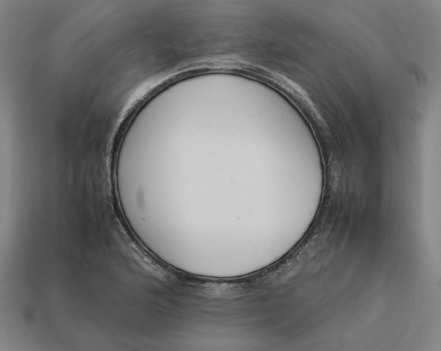 X0000113351176200910061012