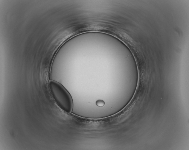 X0000113351177200910061012