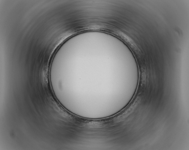 X0000113351178200910061012