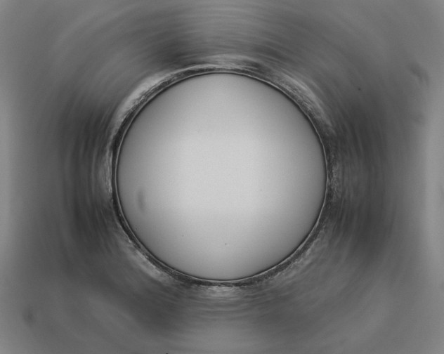 X0000113351180200910061012