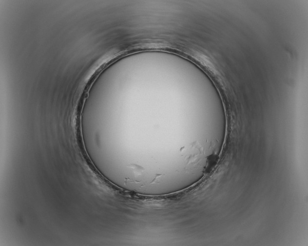 X0000113351181200910061012