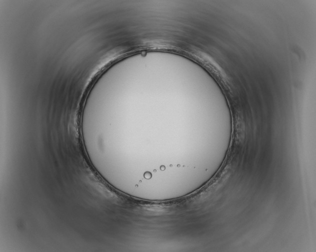 X0000113351182200910061012