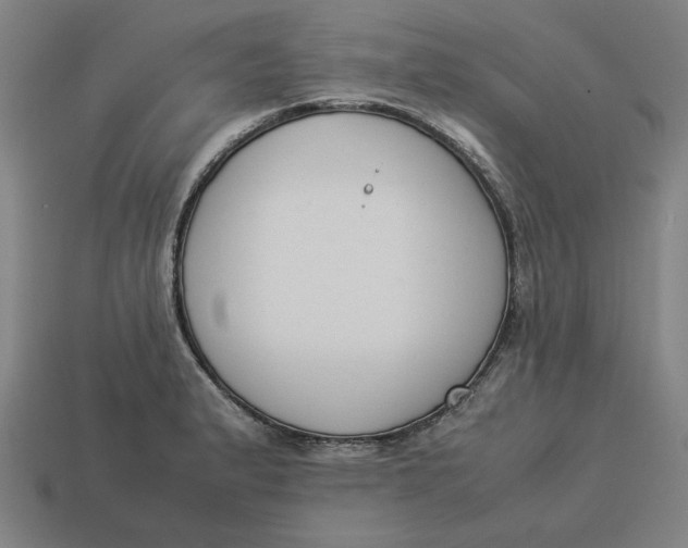 X0000113351183200910061012