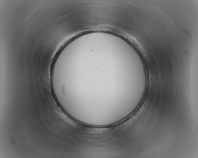 X0000113351184200910061012