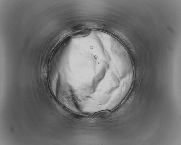 X0000113351185200910061012