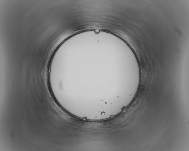 X0000113351187200910061012