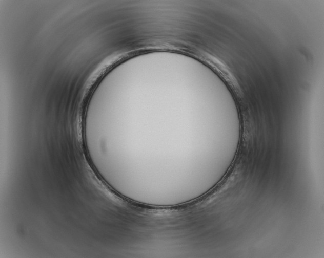 X0000113351188200910061012