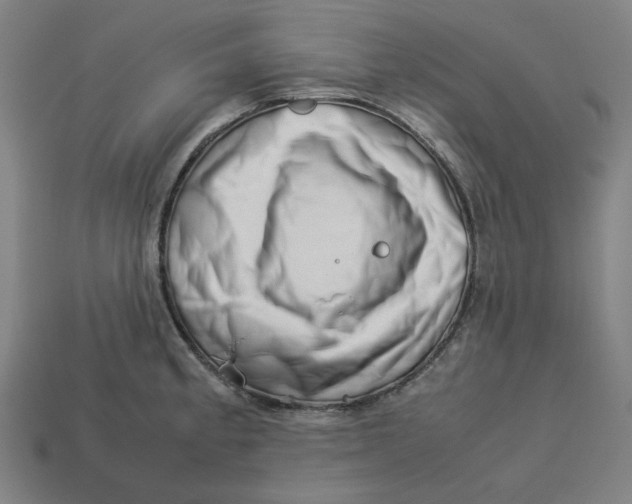 X0000113351189200910061012