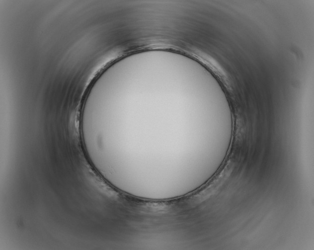 X0000113351190200910061012