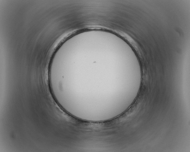 X0000113351191200910061012