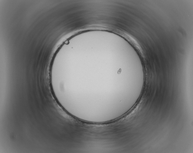 X0000113351192200910061012