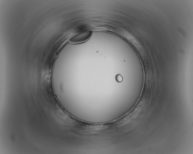 X0000113351193200910061012