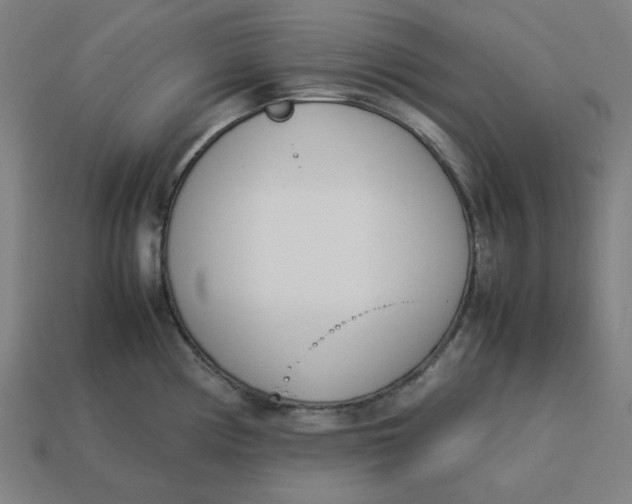 X0000113351194200910061012