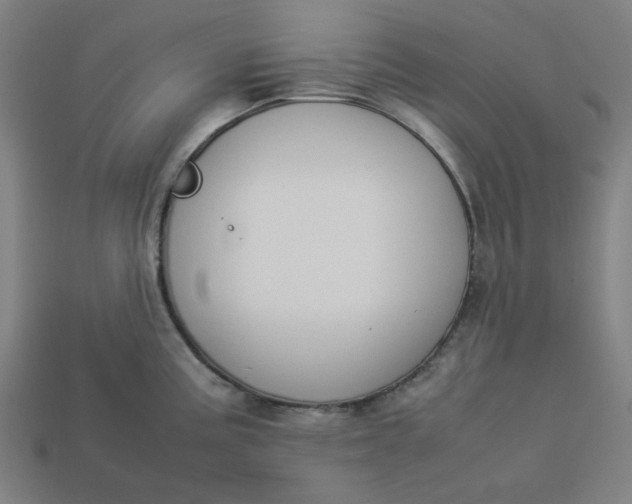 X0000113351195200910061012