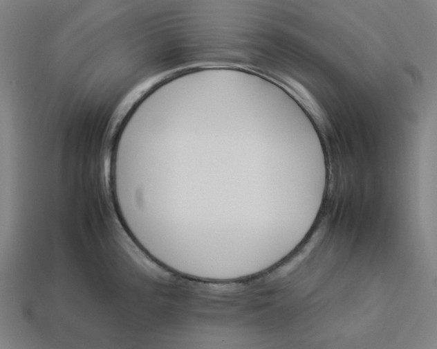 X0000113351196200910061012