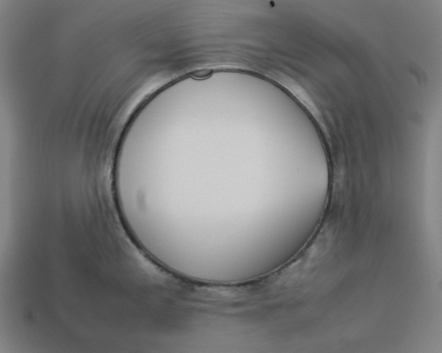 X0000113351197200910061012