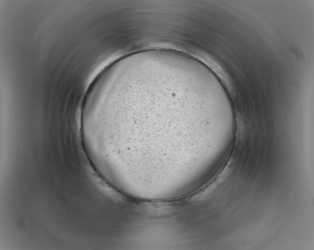 X0000113351198200910061012