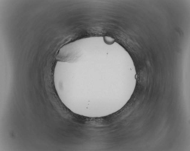 X0000113351201200910061011