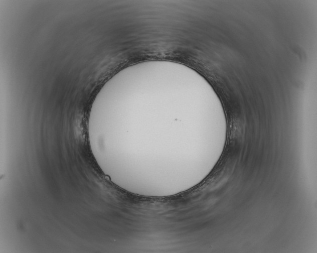 X0000113351202200910061011