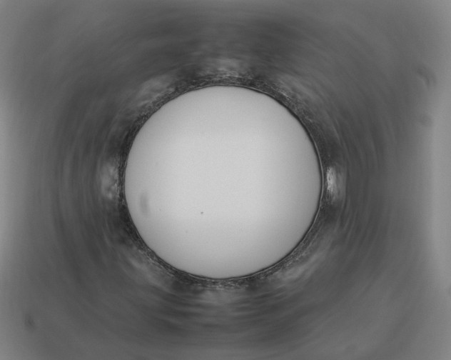 X0000113351203200910061011