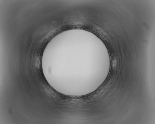 X0000113351204200910061011