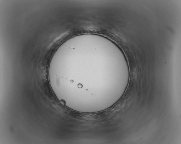 X0000113351205200910061011