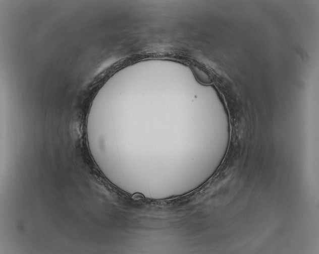 X0000113351206200910061011