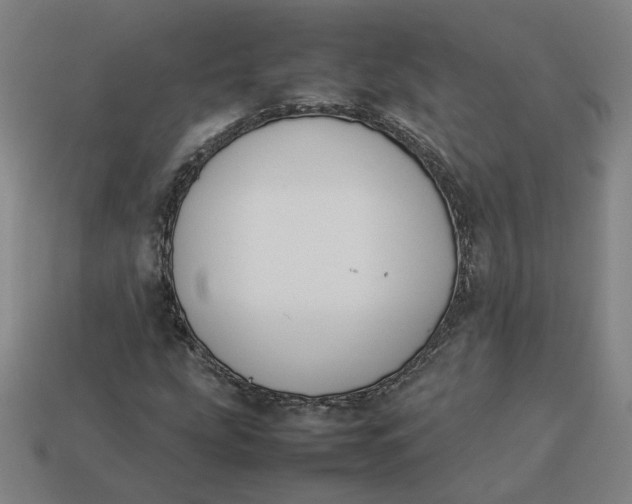 X0000113351207200910061011