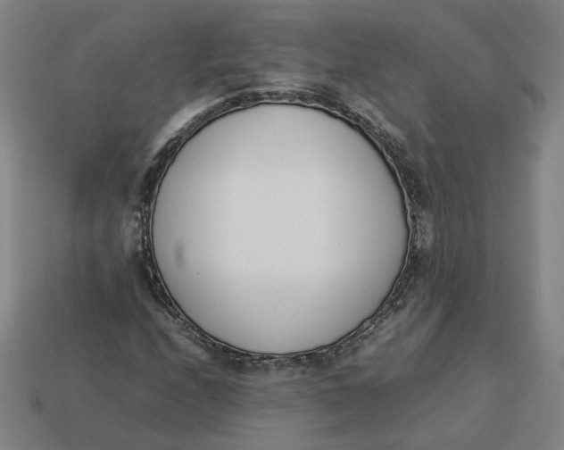 X0000113351208200910061011