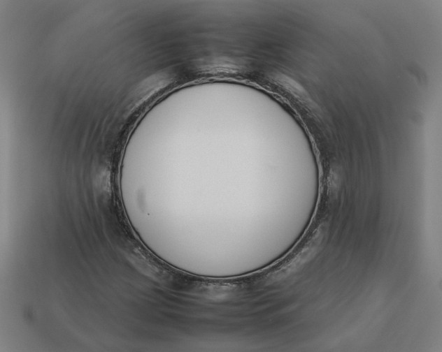 X0000113351209200910061011