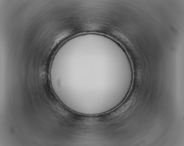 X0000113351210200910061011